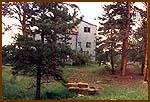 1991 Dry Garden Site