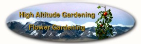 return to home page