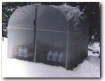 greenhouse