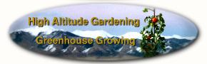 return to home page