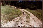 1997 Ditch