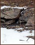 Rock Wall
