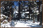 1999 House and Snow