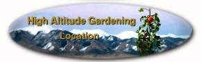 return to home page