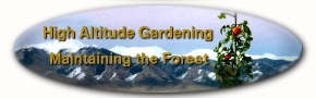 return to home page