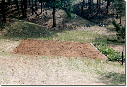 2002 garden - whole